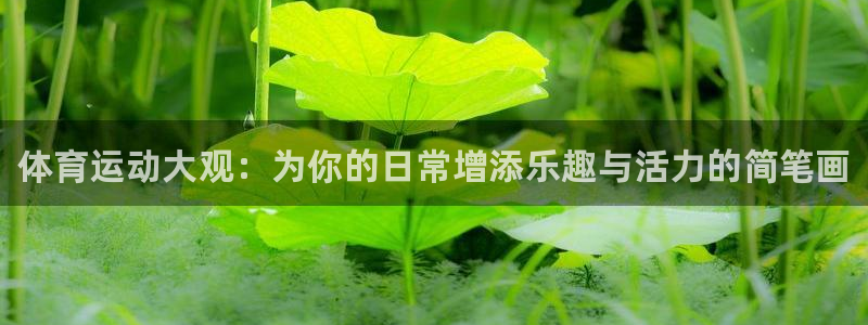 MK体育官方正版app娱乐平台:体育运动大观:为你的日常增添