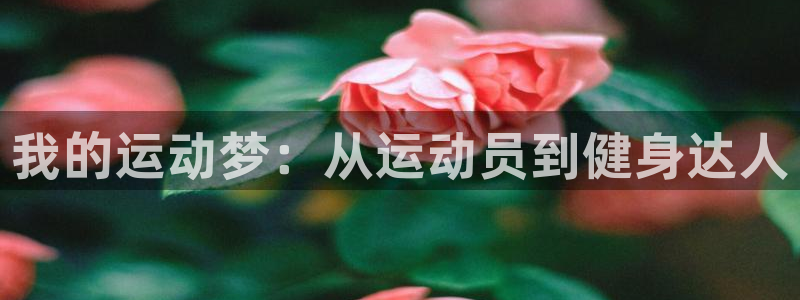 MK体育官方正版app五金厂:我的运动梦:从运动员到健身达人