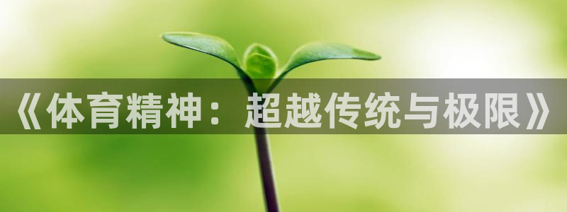 MK体育官网下载平台注册要钱吗:《体育精神:超越传统与极限》