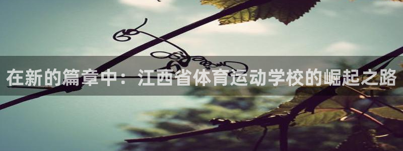 MK体育官方正版app娱乐平台:在新的篇章中:江西省体育运动